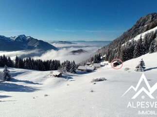Experience the magic of winter with this charming alpine property nestled amidst snow-covered peaks and pristine forests.
