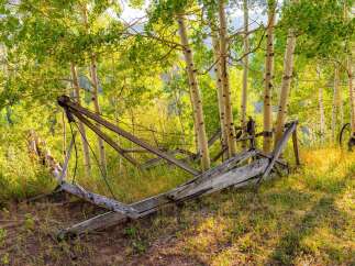 Discover a unique property nestled amidst a serene aspen grove, offering a picturesque setting for your dream home or retreat.