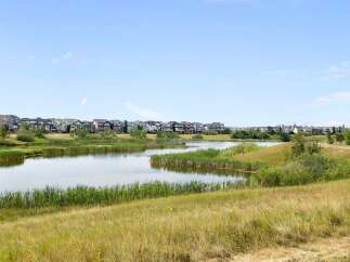 Discover serene living with this picturesque view of a tranquil pond and lush green spaces, perfect for outdoor enthusiasts.
