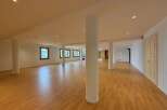 Discover this expansive and versatile open-plan space, perfect for a variety of commercial or residential uses.