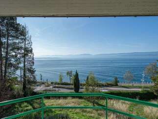 Enjoy breathtaking lake views from this property, offering a serene escape with lush greenery and distant mountains.