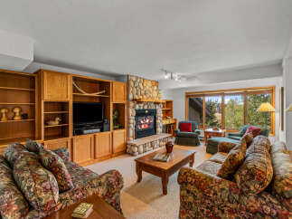 Cozy living room featuring a stone fireplace and built-in wooden shelving.