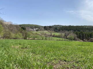 Discover serene rural living with this picturesque property featuring a charming farmhouse nestled amidst rolling green hills and lush forests.