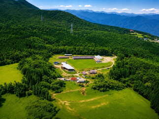 Discover this expansive rural property nestled amidst lush green mountains and dense forests.