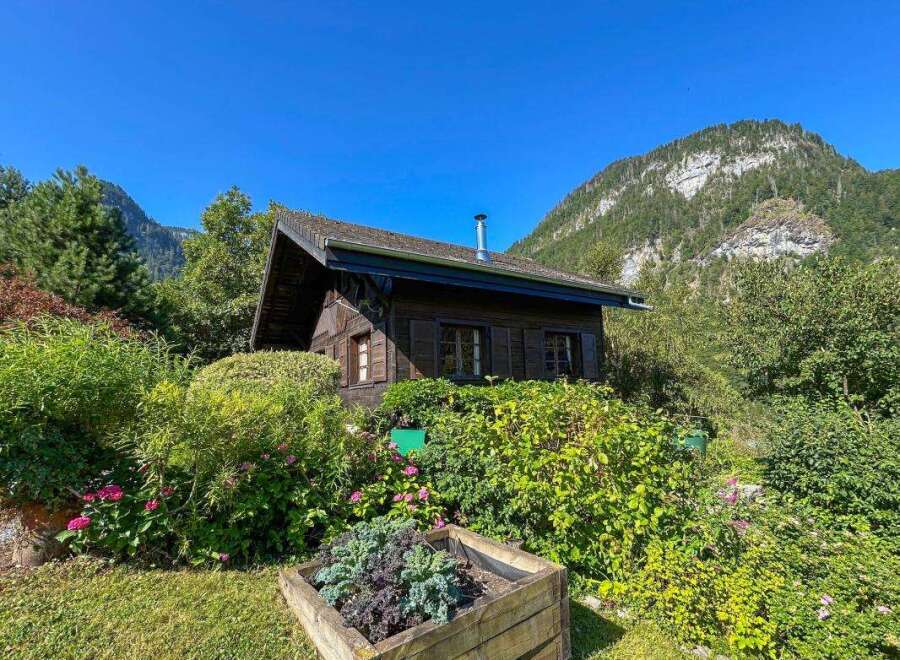 Nestled amidst lush greenery and a vibrant garden, this charming wooden cabin offers a serene mountain retreat.