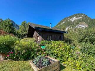 Nestled amidst lush greenery and a vibrant garden, this charming wooden cabin offers a serene mountain retreat.