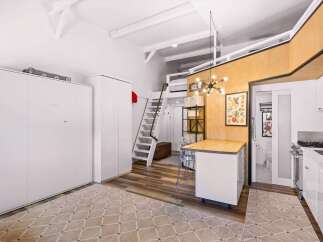 Discover this charming studio apartment featuring a space-saving Murphy bed and a lofted sleeping area accessible by a ladder.