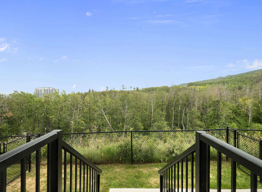 Enjoy the serene natural beauty from this property's backyard, featuring a lush green lawn and a fence overlooking a dense forest.