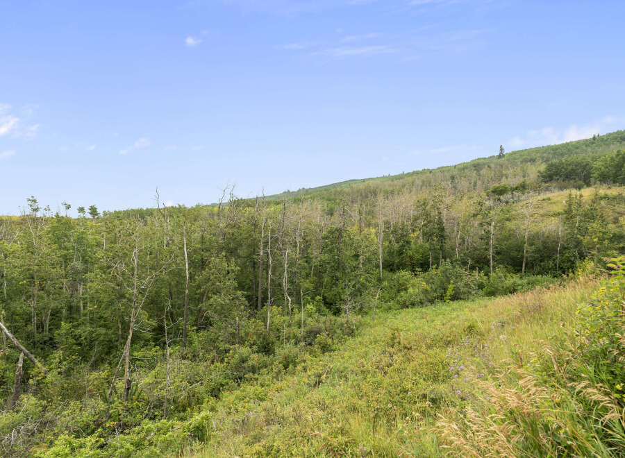 Discover the serene beauty of this expansive natural landscape, perfect for those seeking tranquility and a connection with nature.