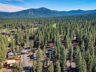 Nestled amidst a dense forest of towering pine trees, this property offers a serene and private retreat.