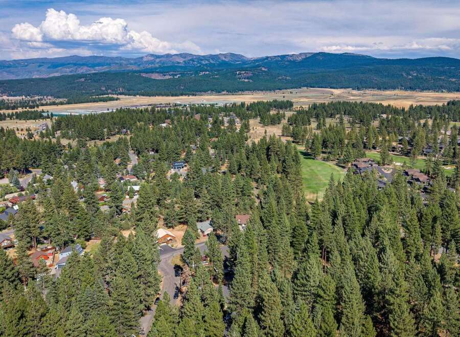 Nestled amidst a dense forest of mature pine trees, this aerial view showcases a charming residential community.