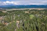 Nestled amidst a dense forest of mature pine trees, this aerial view showcases a charming residential community.