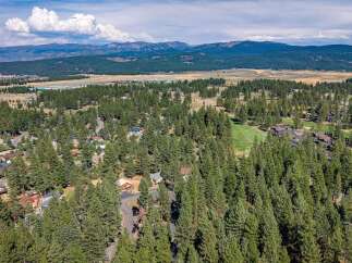 Nestled amidst a dense forest of mature pine trees, this aerial view showcases a charming residential community.
