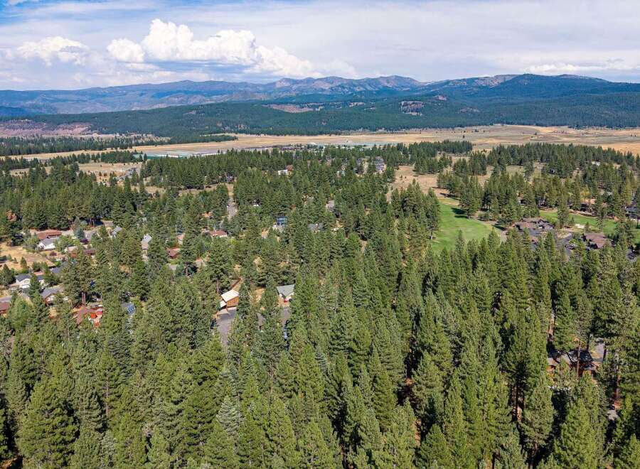 Nestled amidst a dense forest of mature pine trees, this property offers a serene and private retreat.