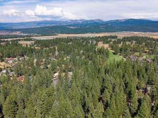 Nestled amidst a dense forest of mature pine trees, this property offers a serene and private retreat.