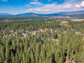 Nestled amidst a dense forest of mature pine trees, this property offers a serene and private retreat.