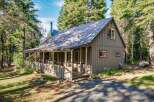 Nestled amongst tall pine trees, this charming cabin offers a serene retreat.