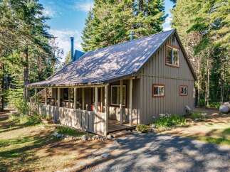 Nestled amongst tall pine trees, this charming cabin offers a serene retreat.