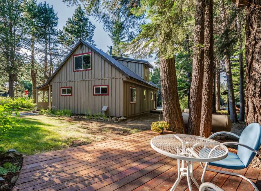Nestled amongst tall pine trees, this charming cabin offers a serene retreat.