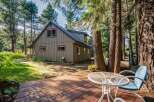 Nestled amongst tall pine trees, this charming cabin offers a serene retreat.