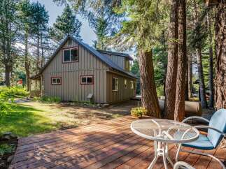 Nestled amongst tall pine trees, this charming cabin offers a serene retreat.