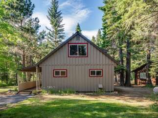Nestled amidst tall pine trees, this charming cabin offers a serene retreat.