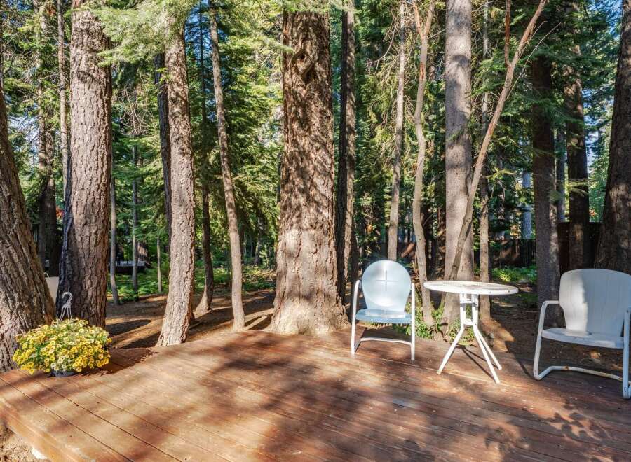 Enjoy the serene forest setting from this charming wooden deck, perfect for outdoor relaxation.