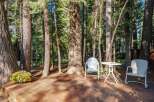 Enjoy the serene forest setting from this charming wooden deck, perfect for outdoor relaxation.