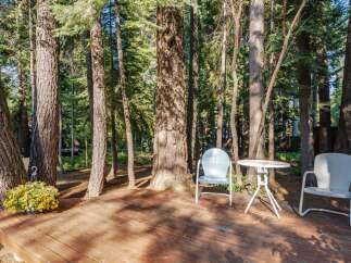 Enjoy the serene forest setting from this charming wooden deck, perfect for outdoor relaxation.