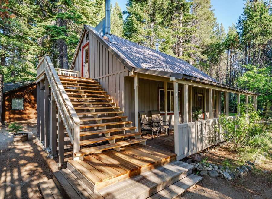 Nestled amongst tall trees, this charming cabin offers a serene retreat.