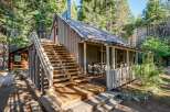 Nestled amongst tall trees, this charming cabin offers a serene retreat.