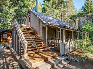 Nestled amongst tall trees, this charming cabin offers a serene retreat.