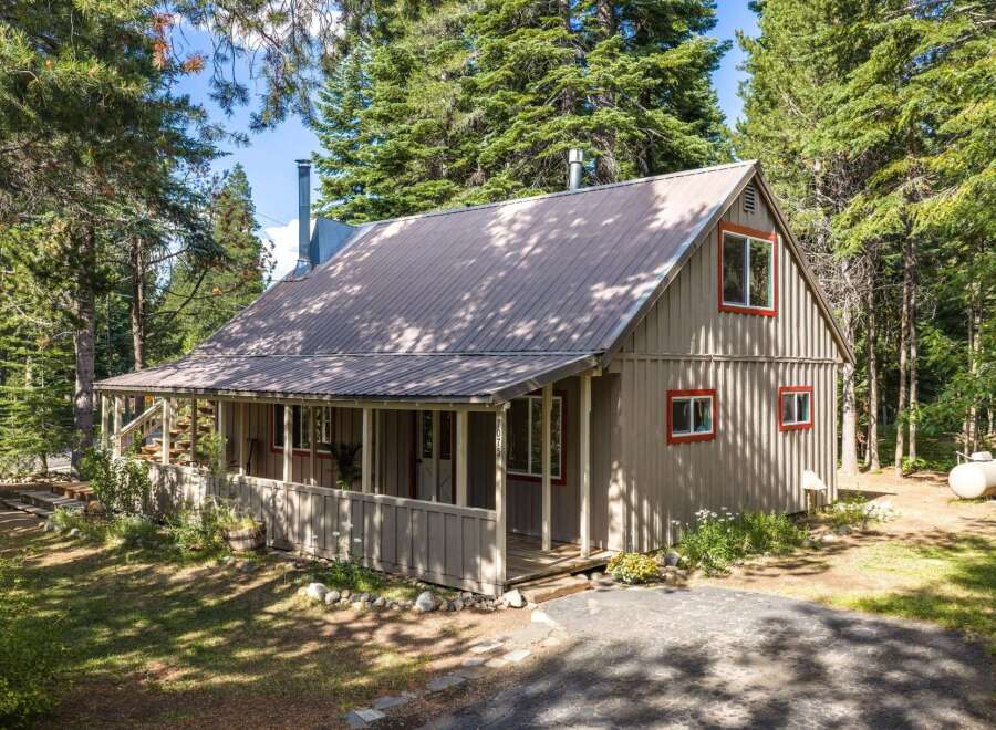 Nestled amongst tall pine trees, this charming cabin offers a serene retreat.