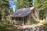Nestled amongst tall pine trees, this charming cabin offers a serene retreat.