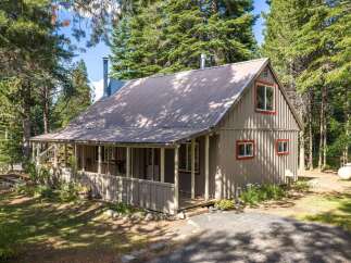 Nestled amongst tall pine trees, this charming cabin offers a serene retreat.