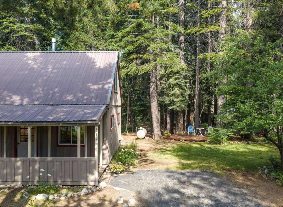Nestled amongst tall pine trees, this charming cabin offers a serene retreat.