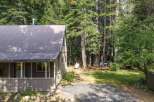 Nestled amongst tall pine trees, this charming cabin offers a serene retreat.