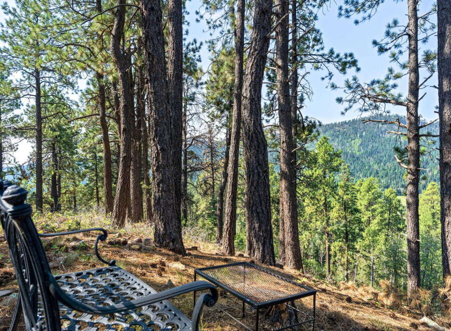 Enjoy the serene mountain views from this charming outdoor seating area, complete with a decorative metal bench and a convenient fire pit.