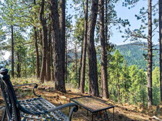 Enjoy the serene mountain views from this charming outdoor seating area, complete with a decorative metal bench and a convenient fire pit.