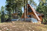 Experience the charm of this A-frame cabin nestled amongst tall pine trees.