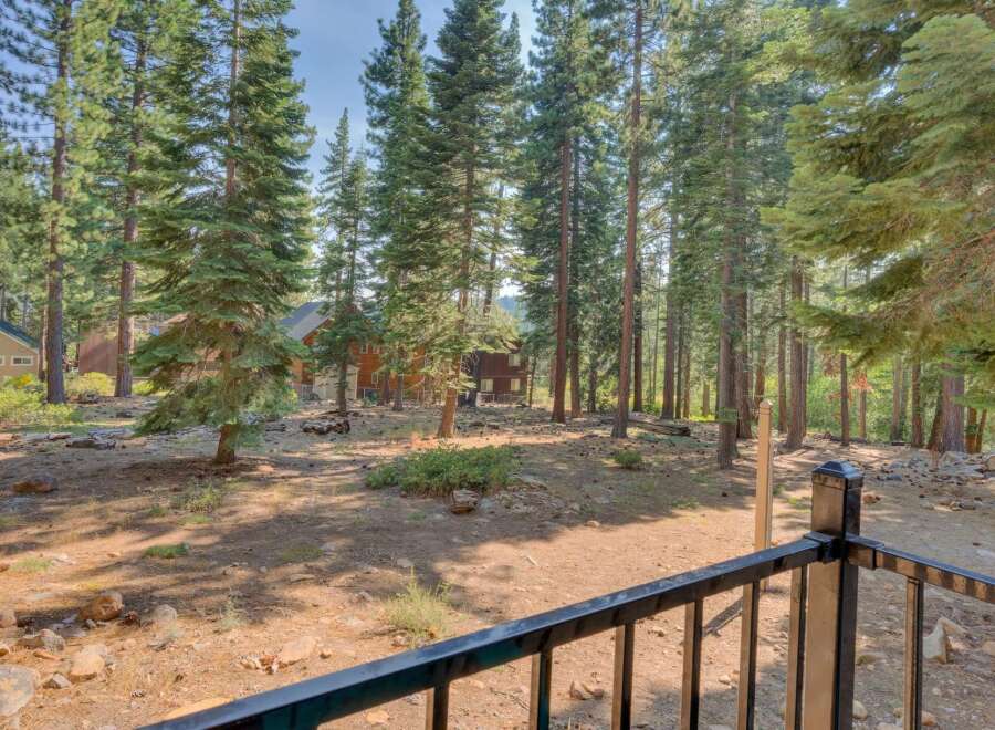 Nestled amidst towering pine trees, this property offers a serene and private retreat.