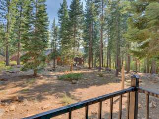 Nestled amidst towering pine trees, this property offers a serene and private retreat.
