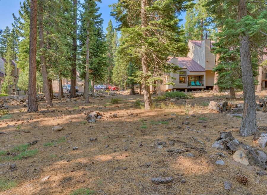 Nestled amidst tall pine trees, this property offers a serene mountain retreat.