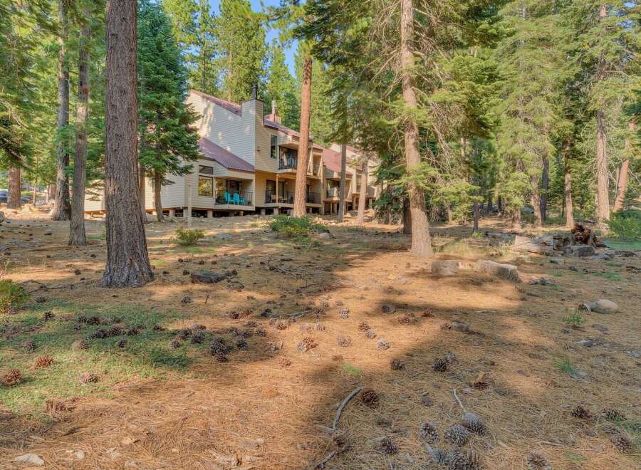 Nestled amidst a serene pine forest, this property offers a tranquil retreat with its charming multi-unit building.