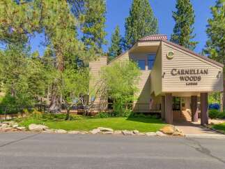 Discover Carnelian Woods Lodge, a charming property nestled amidst towering pine trees.