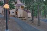Nestled amidst tall pine trees, this charming property features a unique multi-level design with a distinctive copper-colored roof.