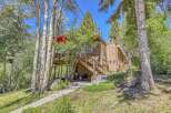 Nestled amongst mature aspen and pine trees, this charming cabin offers a serene mountain retreat.