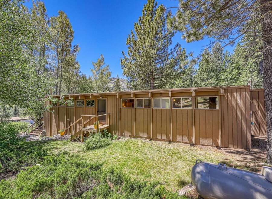 Nestled amidst tall trees, this charming home offers a serene retreat with its natural wood siding and abundant windows.