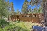 Nestled amidst tall trees, this charming home offers a serene retreat with its natural wood siding and abundant windows.