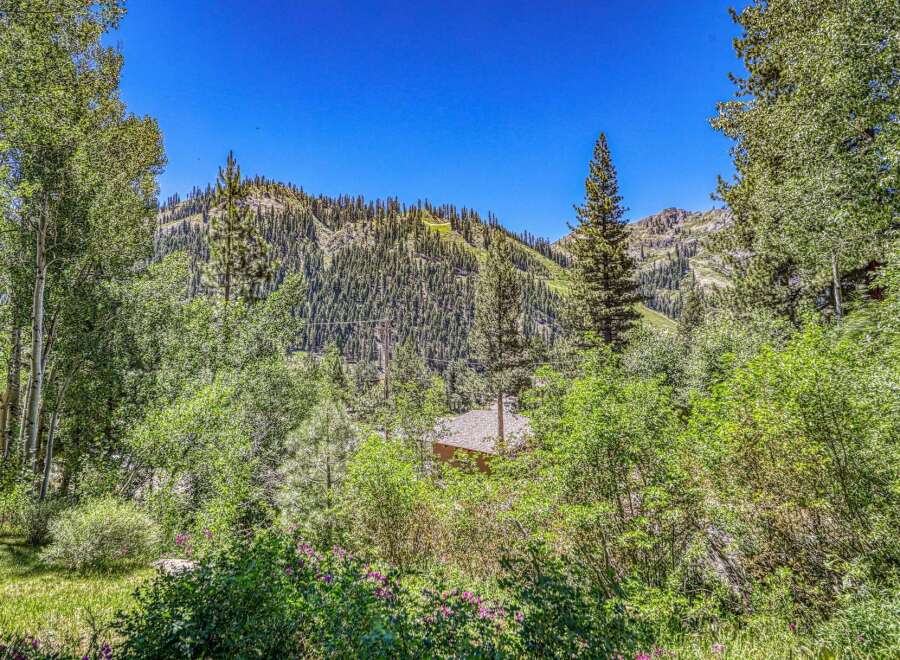 Nestled amidst lush greenery and towering trees, this property offers a serene mountain escape.